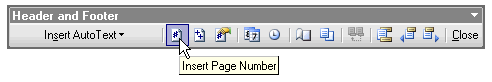 Header and Footer toolbar showing Insert Page Number button
