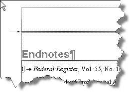 Text Endnote Separator (in Heading 1 style) with empty paragraph above formatted as “Page break before” and 1 point (appearing as a grey line)